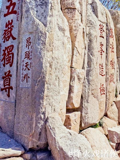 泰山强势反弹偶然抑或必然?内部惋惜本该拿下海港 泰山强势反弹偶然抑或必然?内部惋惜本该拿下海港